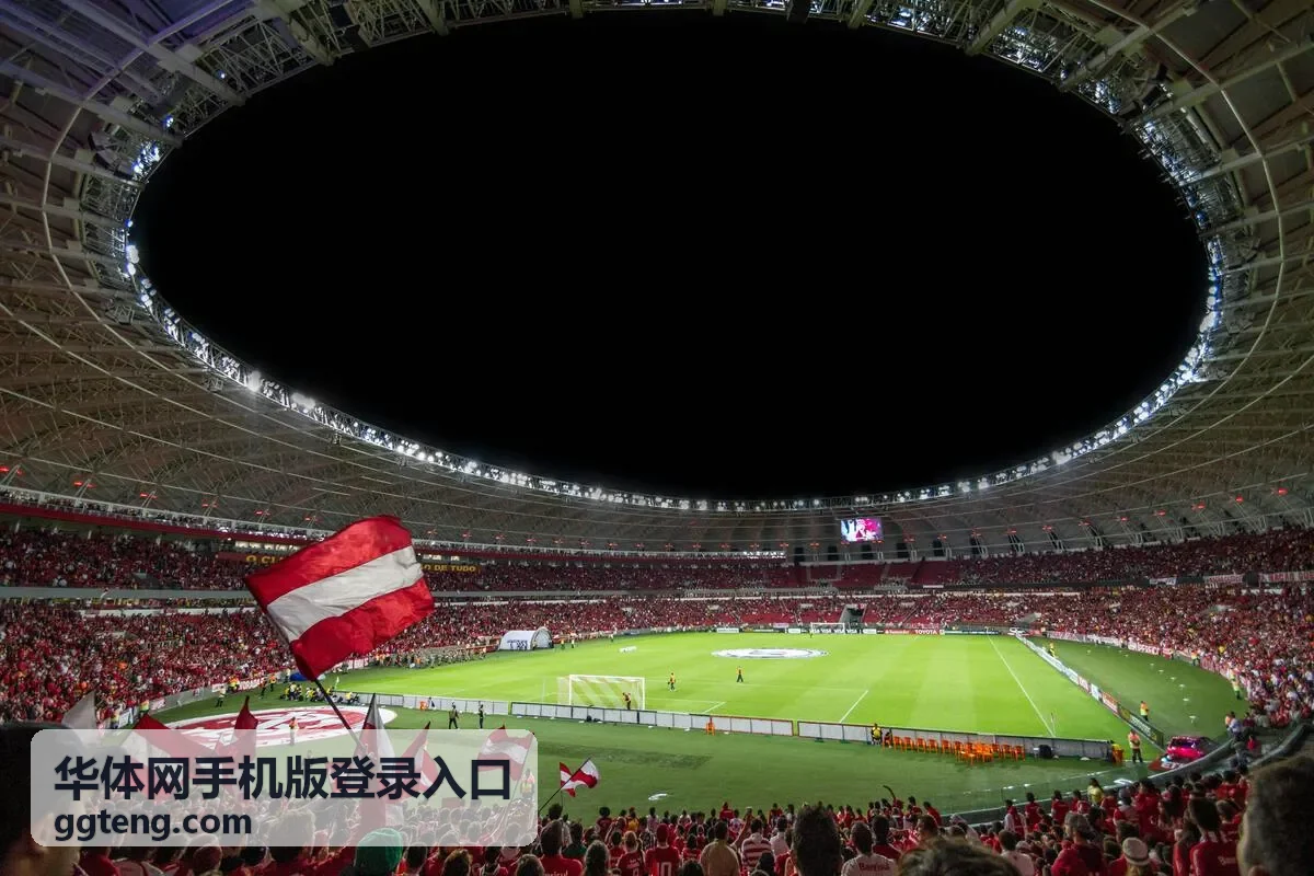 华体网手机版登录入口首次登录流程示意