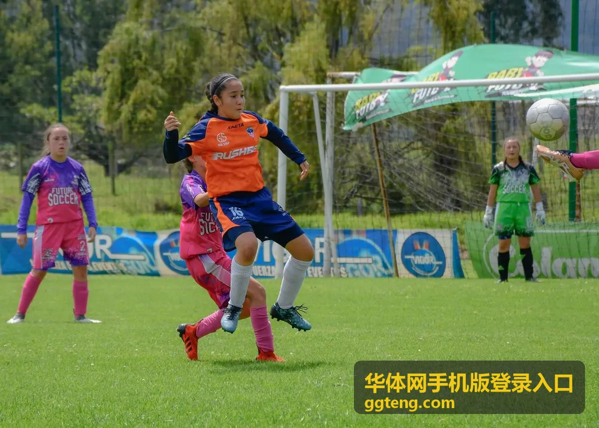 华体网手机版登录入口手机端界面预览