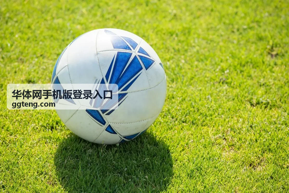 华体网手机版登录入口账号验证操作示意